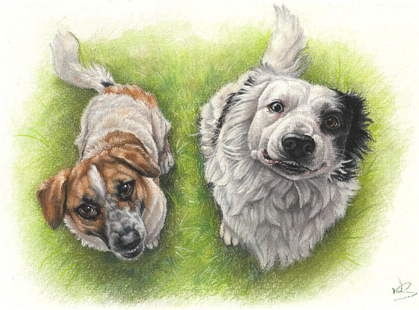 Patch and Rex