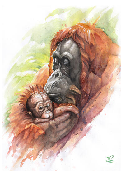 "Holding On" - Watercolour on paper