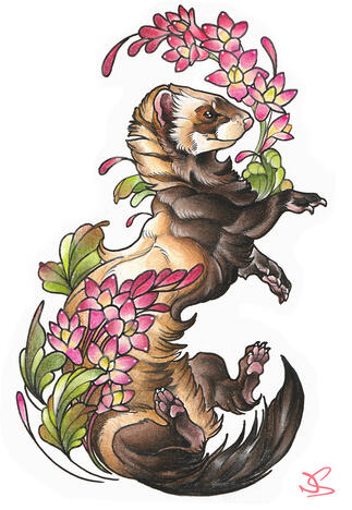 "Neo-Traditional Floral Ferret"